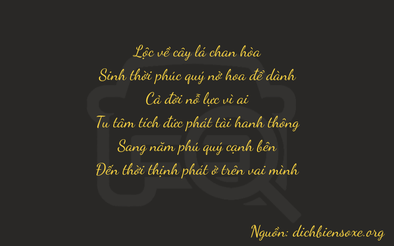 Thơ dịch biển số xe 65158