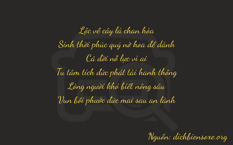 Thơ dịch biển số xe 65167