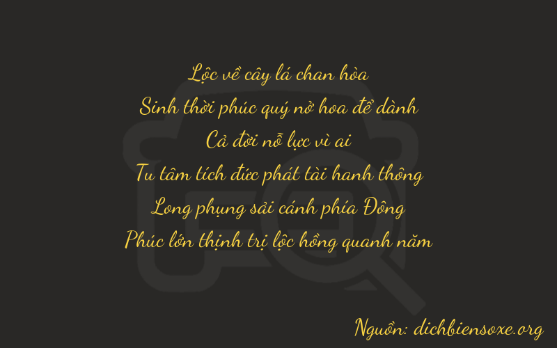 Thơ dịch biển số xe 65176
