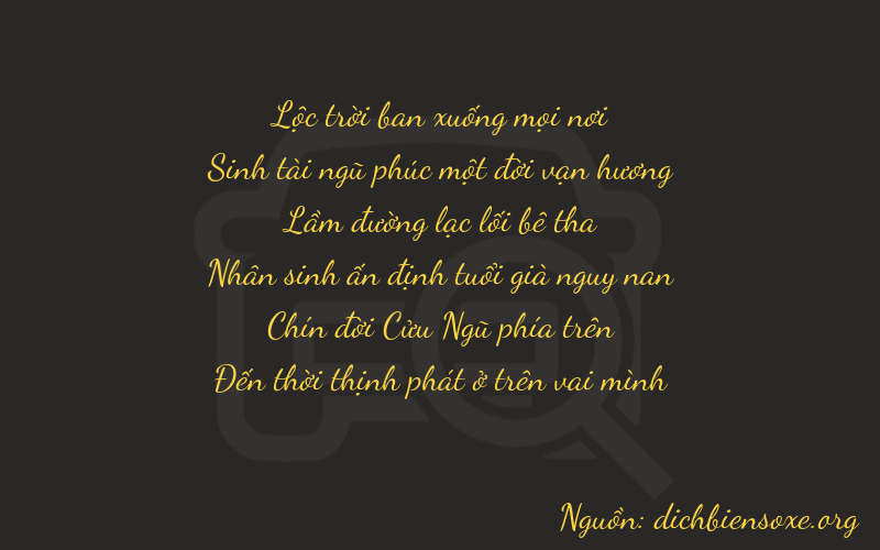Thơ dịch biển số xe 65198