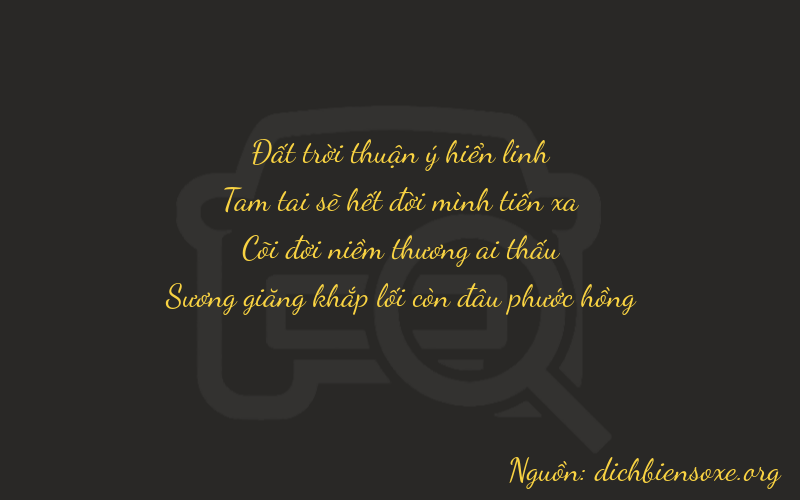 Thơ dịch biển số xe 7344