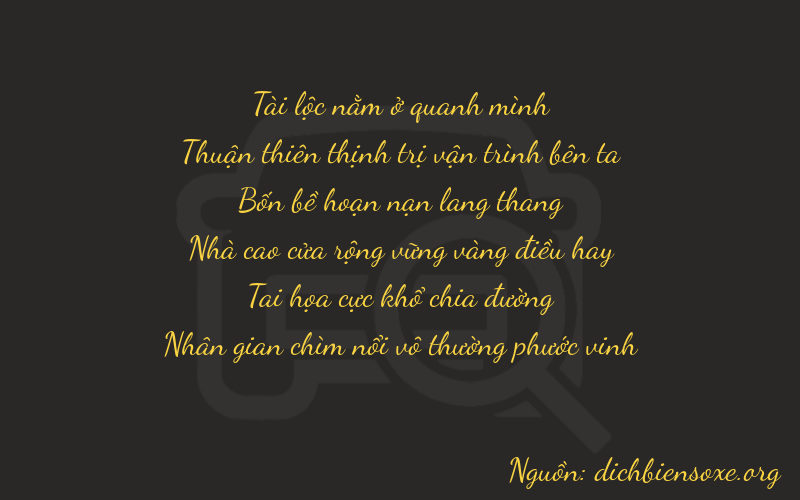 Thơ dịch biển số xe 87464