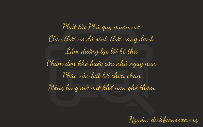 Thơ dịch biển số xe 89164