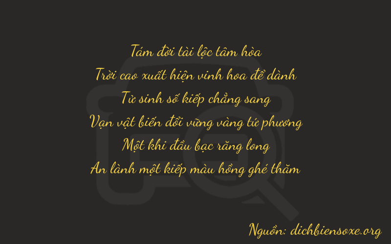 Thơ dịch biển số xe 89411