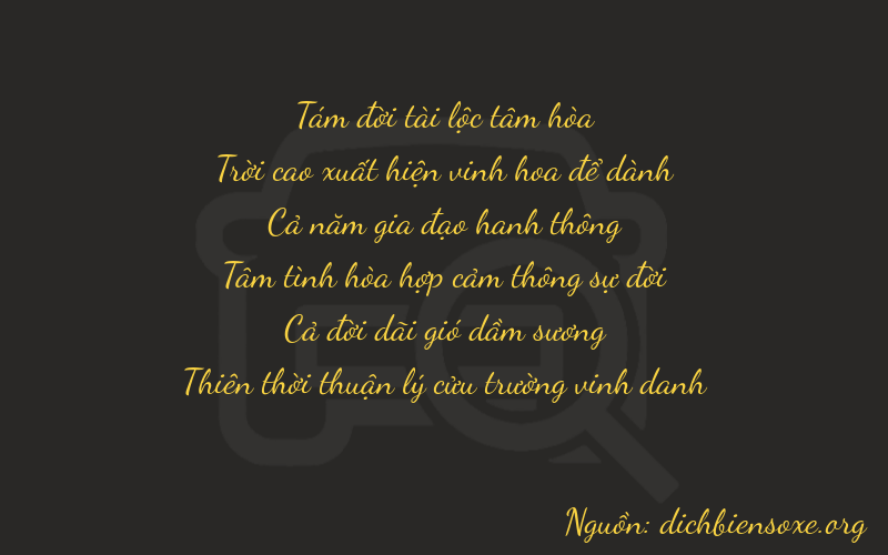 Thơ dịch biển số xe 89519