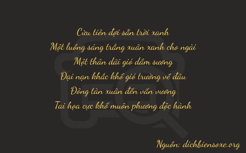 Thơ dịch biển số xe 91141