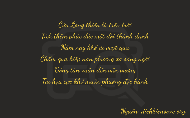 Thơ dịch biển số xe 91541