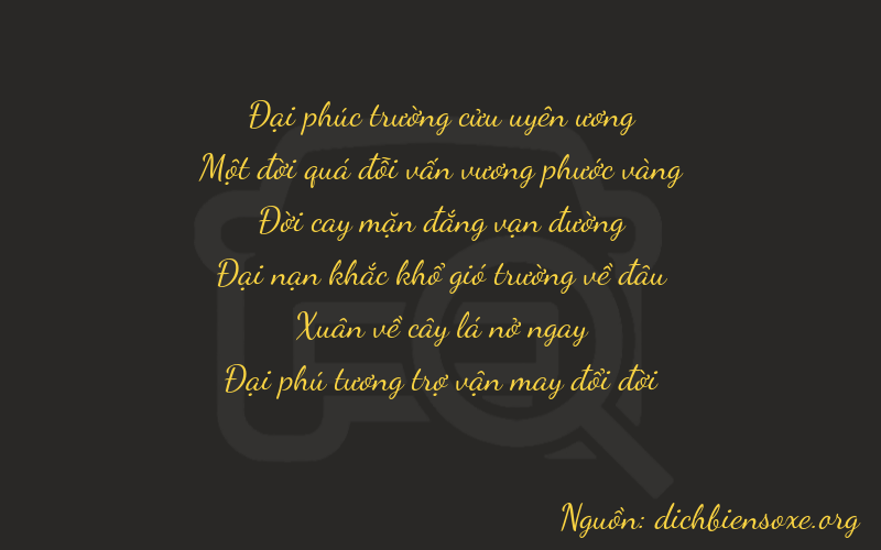 Thơ dịch biển số xe 91566