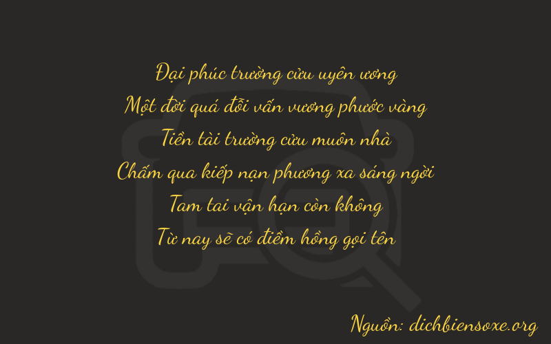 Thơ dịch biển số xe 91935