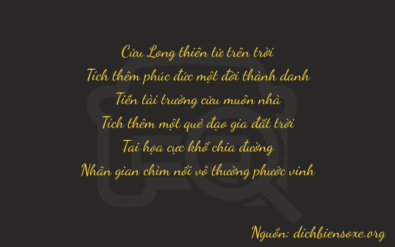 Thơ dịch biển số xe 91964