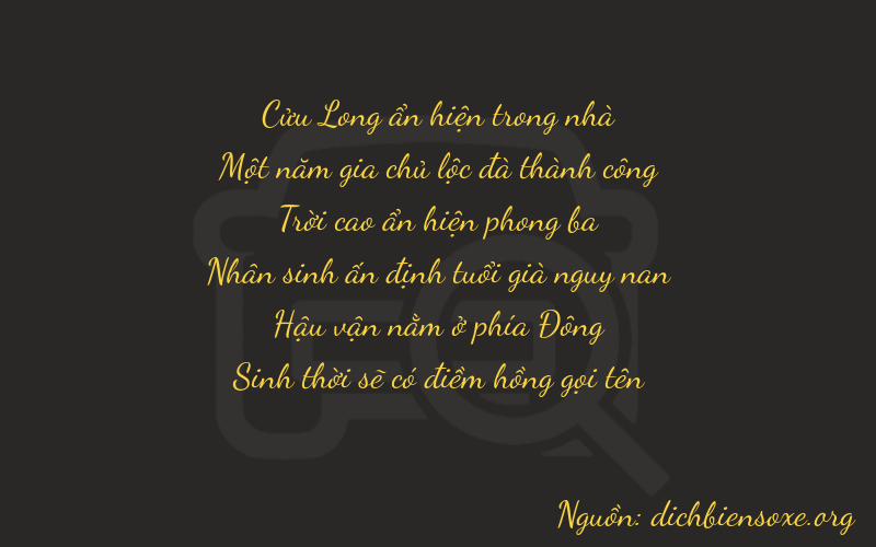 Thơ dịch biển số xe 91975