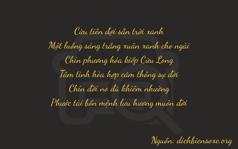 Thơ dịch biển số xe 91996