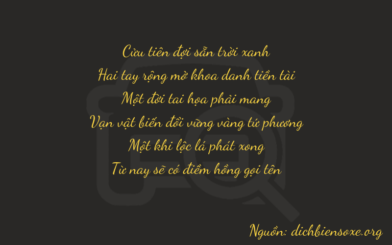 Thơ dịch biển số xe 92115