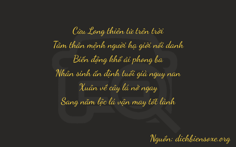 Thơ dịch biển số xe 93865