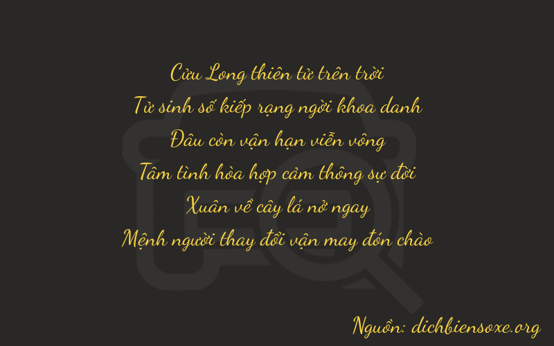 Thơ dịch biển số xe 94063