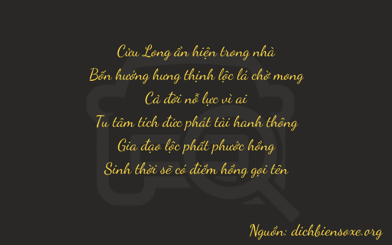 Thơ dịch biển số xe 94165