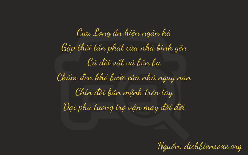 Thơ dịch biển số xe 94596