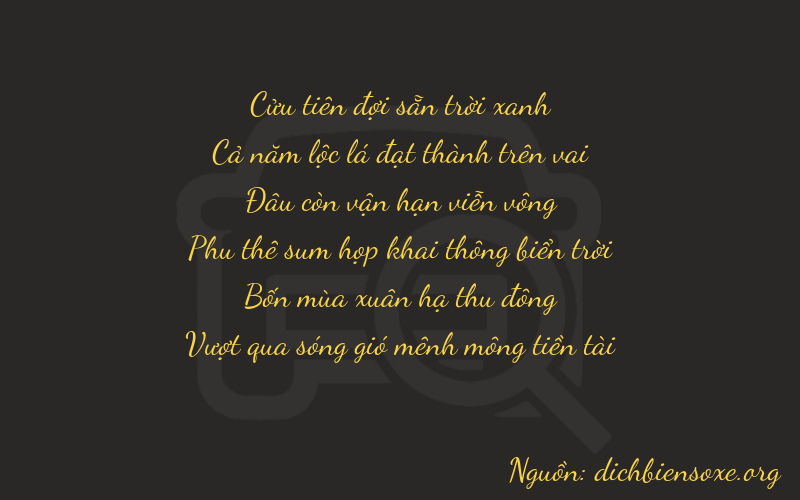 Thơ dịch biển số xe 95043
