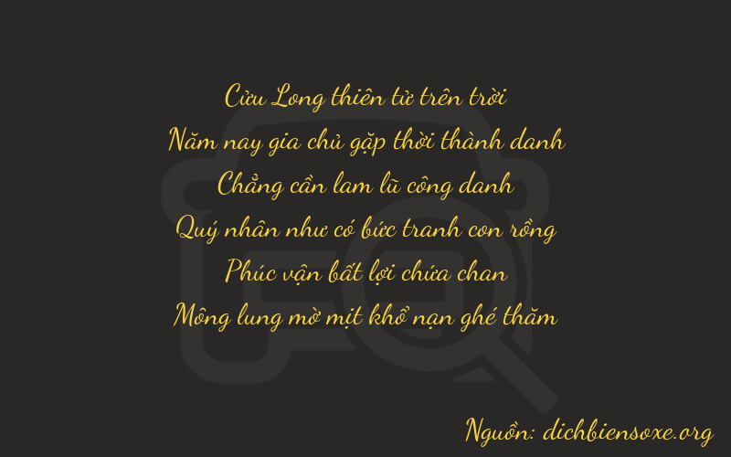Thơ dịch biển số xe 95064