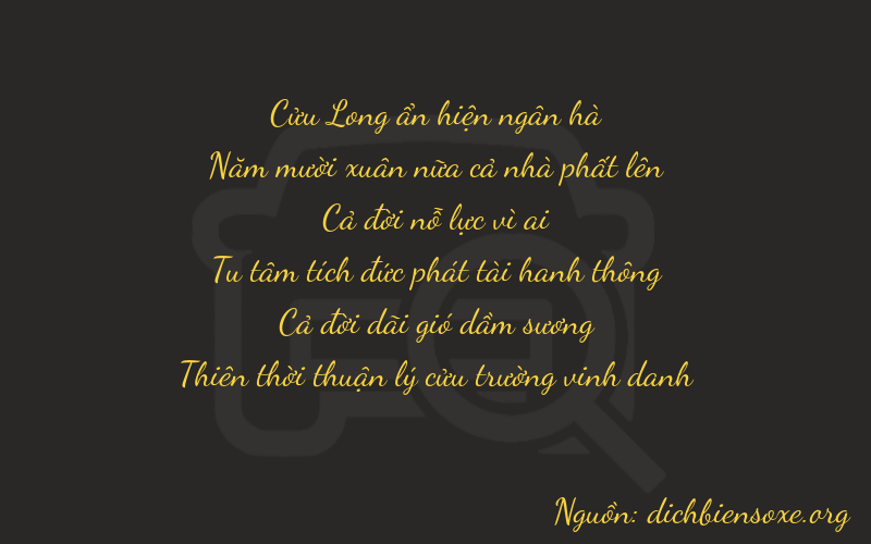 Thơ dịch biển số xe 95119